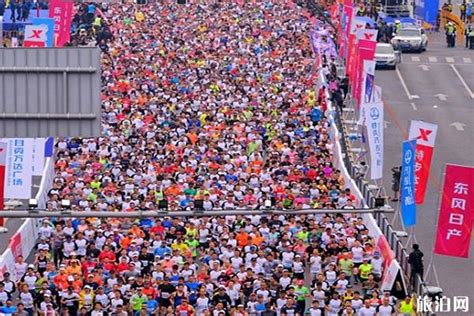 哈尔滨马拉松2023路线图片- 哈尔滨本地宝