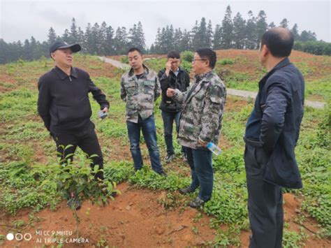 黔东南州稳步推进林业科技推广示范项目的实施 _www.isenlin.cn
