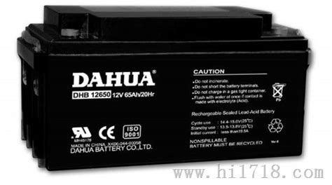 厂家直销正品保证 DAHUA大华蓄电池 DHB1240 12V4Ah/20Hr_虎窝淘