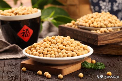 黑龙江省有哪些大豆品种 - 运富春