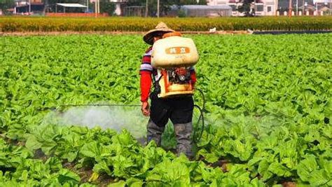 农检中心加强农产品质量安全抽样检测，确保全县人民节日吃上安全放心菜