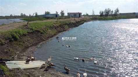 黑龙江哈尔滨呼兰区孟家乡45000平鱼塘养殖场地出租出售-农村土地网