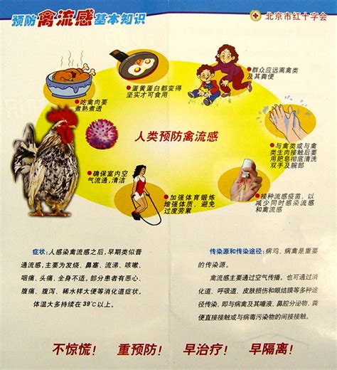 上海h7n9禽流感症状,7n9流感宣传,上海7n9流感_大山谷图库
