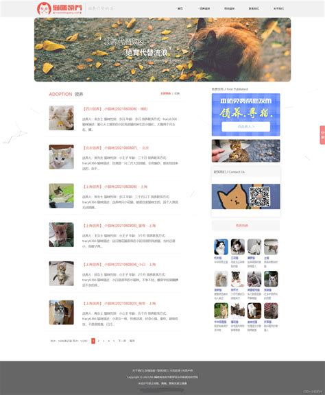 宠物领养网站|网页|运营设计|Nemo阿莫_原创作品-站酷ZCOOL