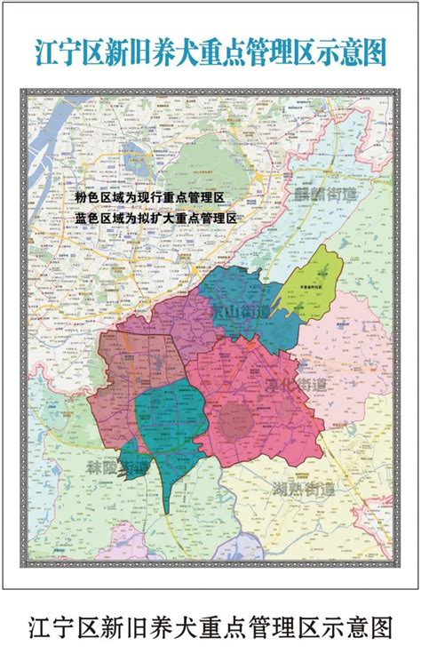南京市江宁区关于扩大养犬重点管理区域的通告原文- 南京本地宝
