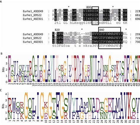 基因结构图详解-美格生物让你五分钟看懂基因的结构-基因图的秘密 - 美格生物，领先的IVD分子检测技术提供商！