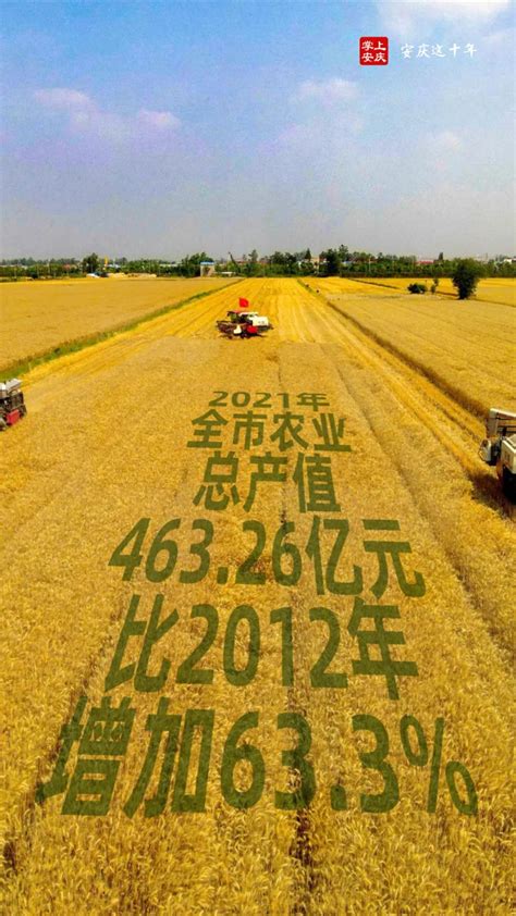 安庆这十年丨传统农业大市加速 向现代农业强市迈进_安庆_新闻中心_长江网_cjn.cn