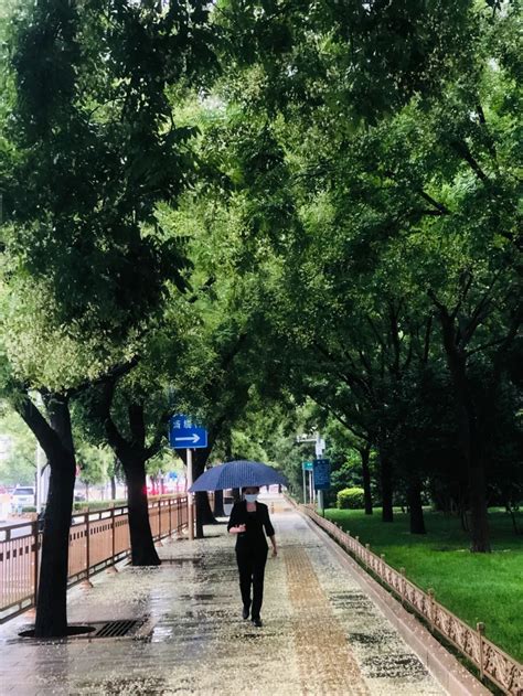北京强降雨“前奏”声势惊人 海淀等局地遭遇疾风骤雨-图片频道
