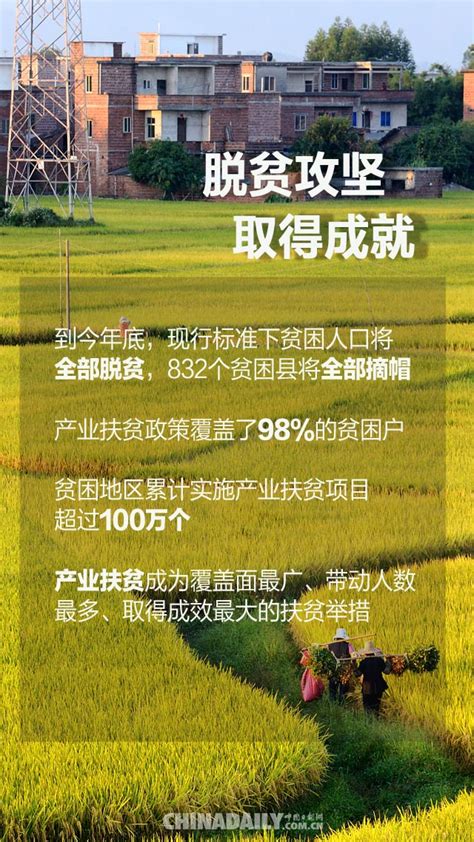 【海报】回眸“十三五”——农业农村大发展 - 看点 - 华声在线