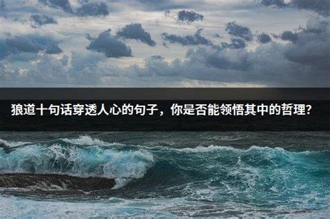 蓝色狼道精神创意企业文化展板图片下载_红动中国