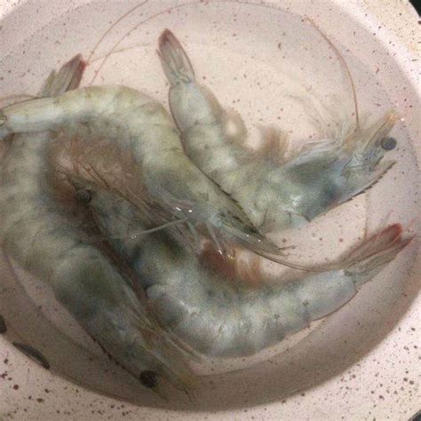 连云港水产冰冻海鲜大虾3.6斤装 海虾40-50 海鲜速冻对虾-阿里巴巴