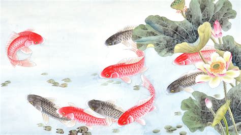 普罗丝 的图像结果