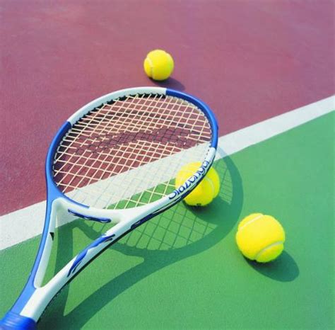 中国网球协会少儿网球发展联盟短式网球教练员培训—常州站在我校成功举办