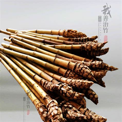 扁竹根图片