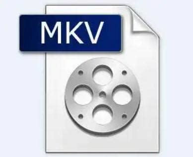 【MKV格式转换器】MKV转MP4/RMVB/AVI-ZOL下载