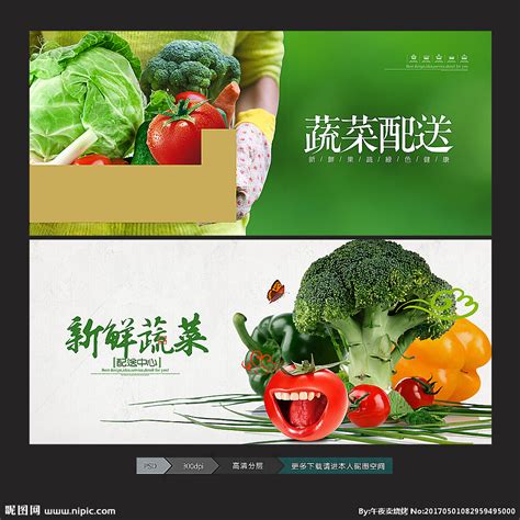 蔬菜公司起名大全-起名网