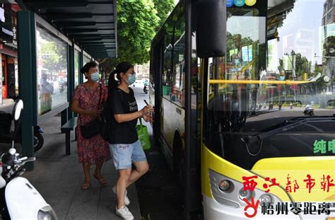 河南焦作：让公交文明带动城市文明 - 河南省公交协会