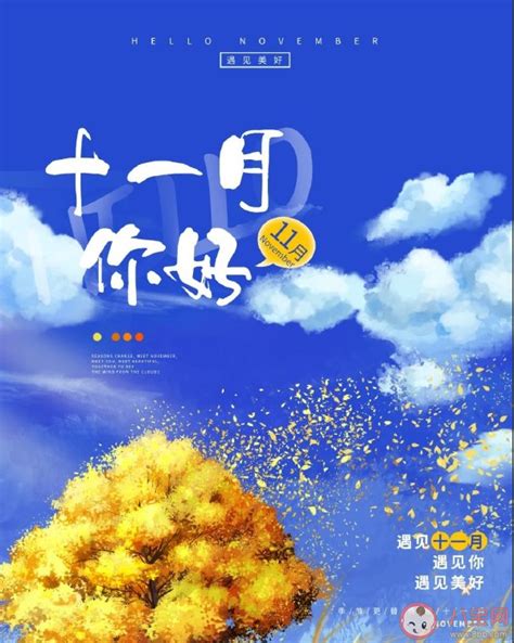 加油十一月图片