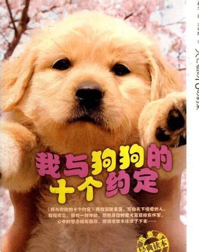世界十大关于狗狗的电影（最好看的宠物狗电影）_玉环网