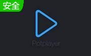 PotPlayer播放器2020下载-PotPlayer播放器2020官方版下载[视频软件],版本列表-天极下载