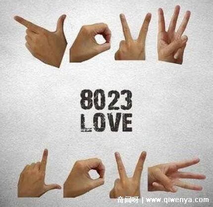 8023是什么意思啊，LOVE的爱情数字密码(做出手势就能秒懂了) - 社会 - 妖业蛋子