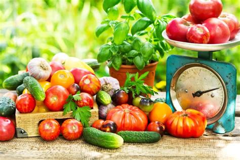 有机菜|有机蔬菜|有机食品|绿色食品|生态农业|有机蔬菜资讯|菜谱|热门食品|农业资讯|食品资讯--有机蔬菜成流行时尚