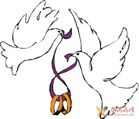 儿童画漂亮的大白鸽简笔画法-露西学画画
