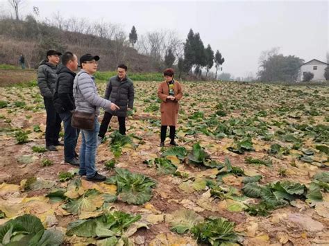 市农技总站举办2022年宁波市优质番茄生产技术培训班