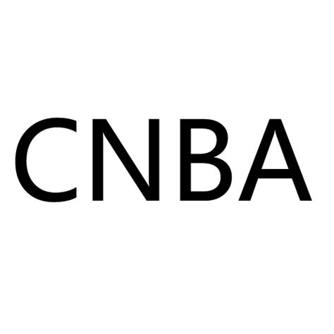 CNBA（城市三人篮球联盟）_百度百科