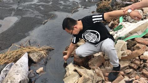 长江边违法倾倒数万吨污泥 泰兴市两年未整改 问题变本加厉-国际环保在线