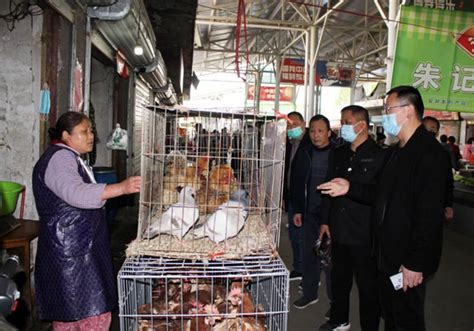 泰州活禽市场回暖 价格略微上涨