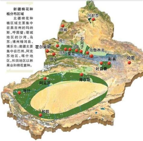 新疆是什么时候纳入中国版图的-解历史