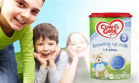 世界十大放心奶粉品牌你知道哪些？
