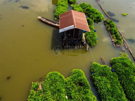 泰国乌泰他尼Sakaekrung河上漂浮的植物中的潘丹植物漂浮农场的顶部视图当地传统的香兰农业高清图片下载-正版图片506306712-摄图网