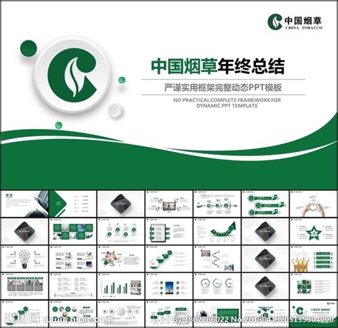 2019年中国烟草行业市场前景研究报告-前沿知识库