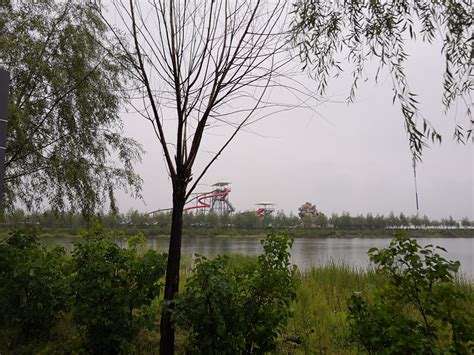 2021呼兰河口湿地风景区-旅游攻略-门票-地址-问答-游记点评，哈尔滨旅游旅游景点推荐-去哪儿攻略