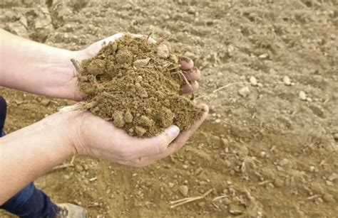 五颜六色的土壤是怎么形成的？ - 土壤改良 - 新农资360网|土壤改良|果树种植|蔬菜种植|种植示范田|品牌展播|农资微专栏