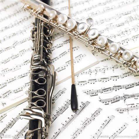乐器发声原理之——木管 · 长笛篇 - 知乎