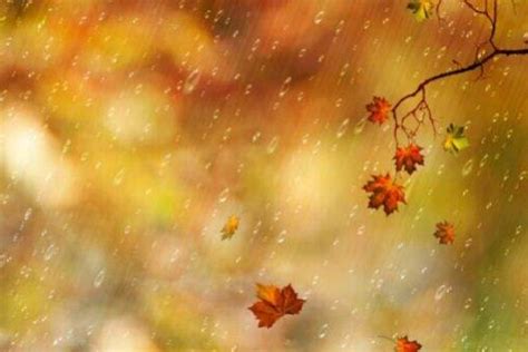 赞美秋雨的古诗句有哪些 关于赞美秋雨的古诗句 - 天奇生活