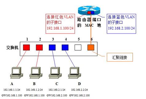 VLAN（含配置命令行）_端口加入vlan的命令-CSDN博客