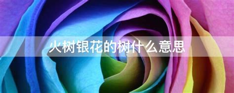 火树银花的意思_成语火树银花的解释-汉语国学