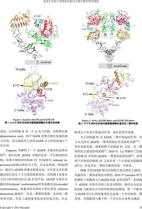 全国首个细胞生长因子领域的国家工程中心落地中国基因药谷 - 瓯海新闻网