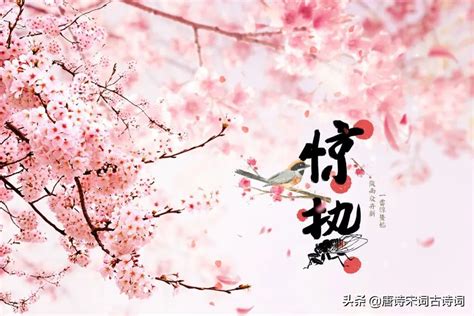 惊蛰 古诗词 石家小鬼原创中国风二十四节气插画，商用请联系邮箱shijiaxiaogui@qq.com，未经允许严禁商用。