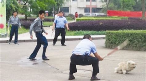 打狗图图片