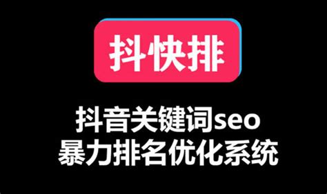 seo关键词快速排名外包（企业关键词网站排名外包） - 恩派SEO