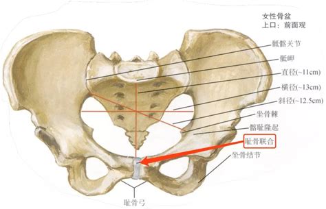 人民币上的图案都是哪里的风景呢_360新知