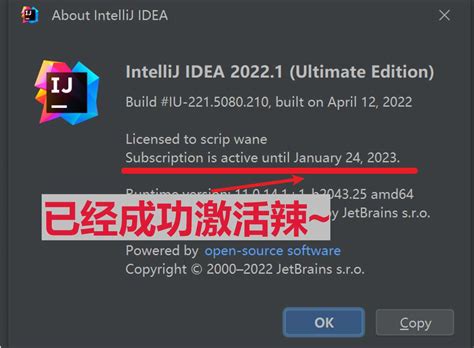 IntelliJ IDEA 2022.1激活破解图文教程（亲测有用，永久激活） - idea激活- IntelliJ IDEA 2021.1 ...