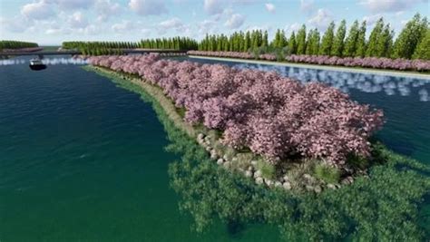 2020年，这里的河岸将呈现“十里桃花”…… - 江苏各地 - 中国网•东海资讯