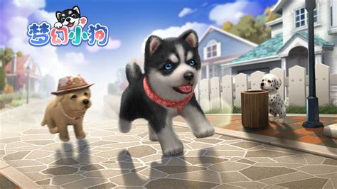 3D宠物模拟养成游戏《梦幻小狗》开启预约_玩一玩游戏网wywyx.com