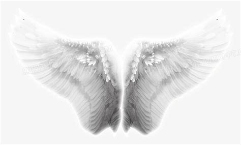 翅膀，天使的翅膀，淘宝，翅膀特效PNG图片素材下载_翅膀PNG_熊猫办公